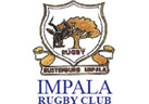 Impala Rugby